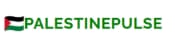 Palestine Pulse Blog Preview